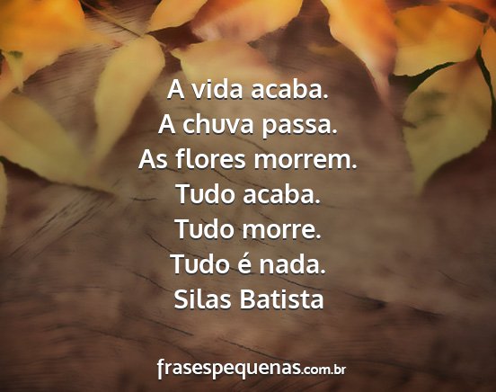 Silas Batista - A vida acaba. A chuva passa. As flores morrem....