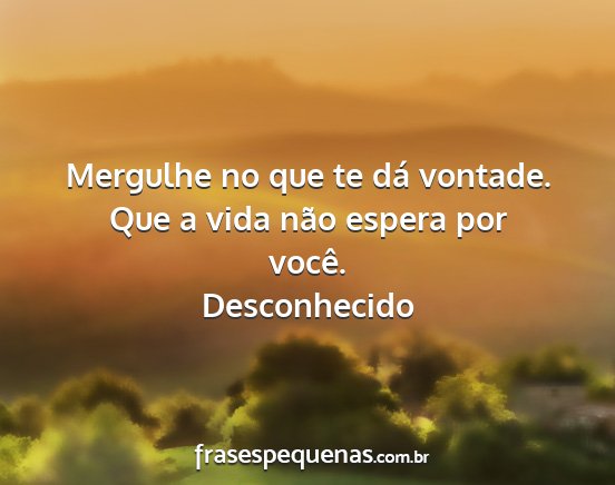 Desconhecido - Mergulhe no que te dá vontade. Que a vida não...