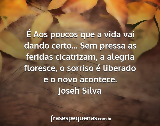 Joseh Silva - É Aos poucos que a vida vai dando certo... Sem...