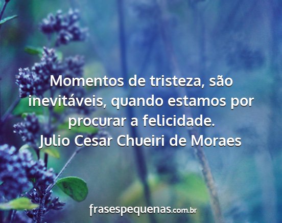 Julio Cesar Chueiri de Moraes - Momentos de tristeza, são inevitáveis, quando...