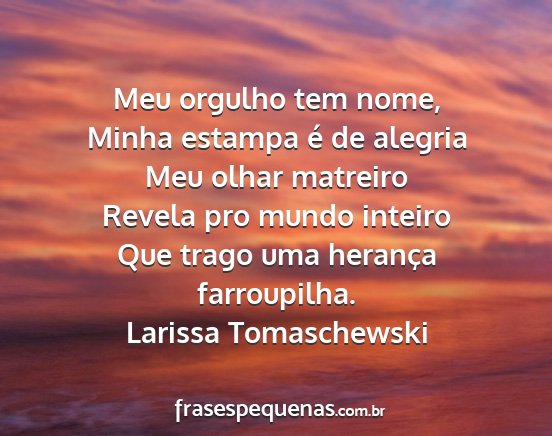 Larissa Tomaschewski - Meu orgulho tem nome, Minha estampa é de alegria...