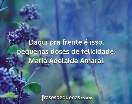 Maria Adelaide Amaral - Daqui pra frente é isso, pequenas doses de...