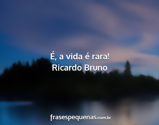 Ricardo Bruno - É, a vida é rara!...