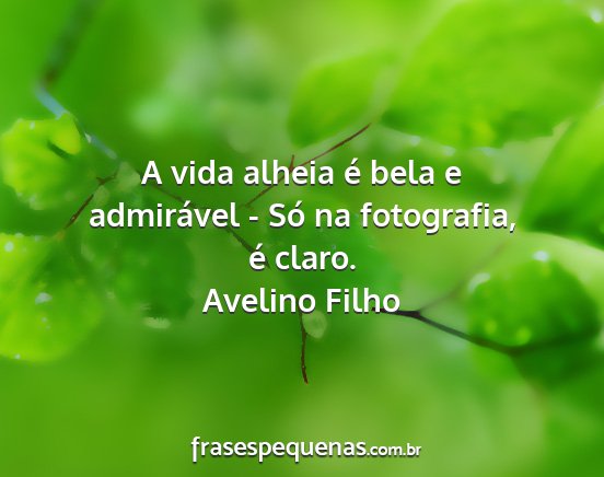 Avelino Filho - A vida alheia é bela e admirável - Só na...