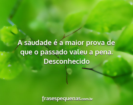 Desconhecido - A saudade é a maior prova de que o passado valeu...