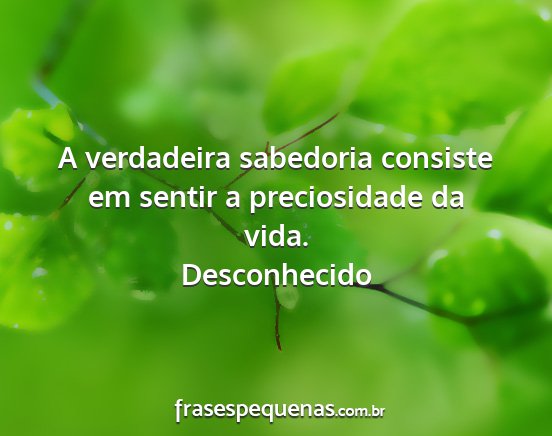 Desconhecido - A verdadeira sabedoria consiste em sentir a...