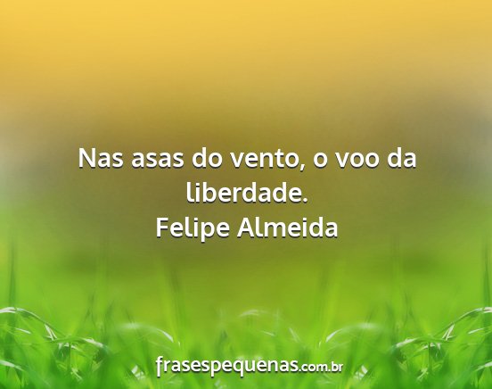 Felipe Almeida - Nas asas do vento, o voo da liberdade....