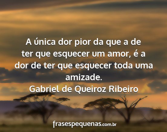 Gabriel de Queiroz Ribeiro - A única dor pior da que a de ter que esquecer um...