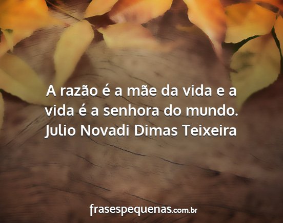 Julio Novadi Dimas Teixeira - A razão é a mãe da vida e a vida é a senhora...