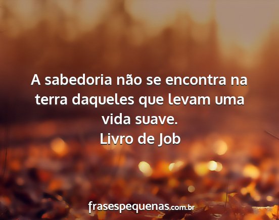 Livro de Job - A sabedoria não se encontra na terra daqueles...