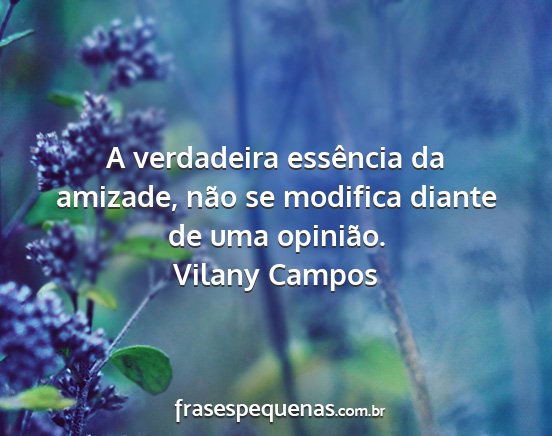 Vilany Campos - A verdadeira essência da amizade, não se...
