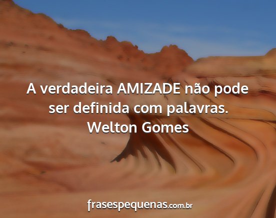 Welton Gomes - A verdadeira AMIZADE não pode ser definida com...