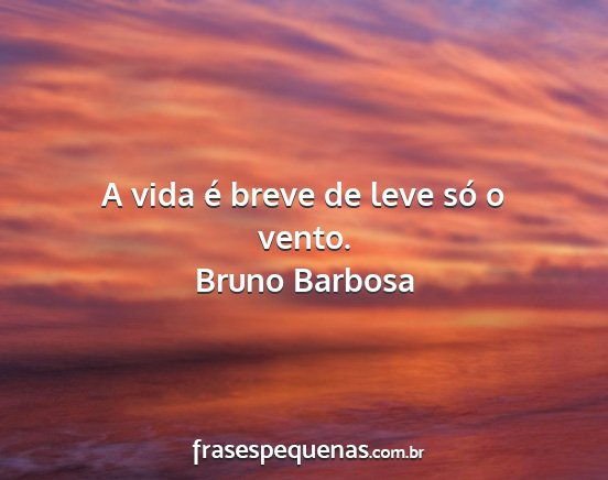 Bruno Barbosa - A vida é breve de leve só o vento....