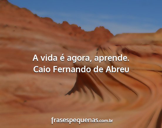 Caio Fernando de Abreu - A vida é agora, aprende....