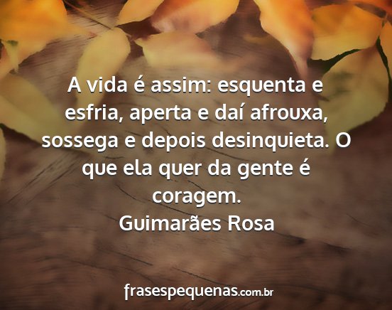 Guimarães Rosa - A vida é assim: esquenta e esfria, aperta e daí...