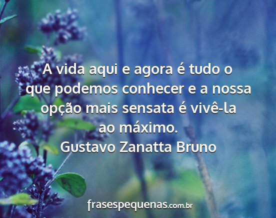 Gustavo Zanatta Bruno - A vida aqui e agora é tudo o que podemos...