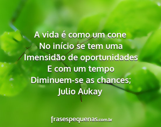 Julio Aukay - A vida é como um cone No início se tem uma...
