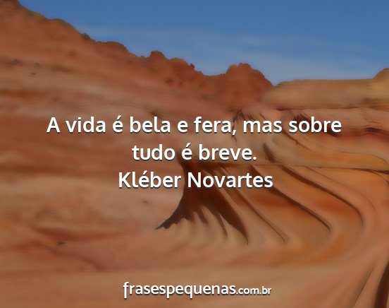 Kléber Novartes - A vida é bela e fera, mas sobre tudo é breve....