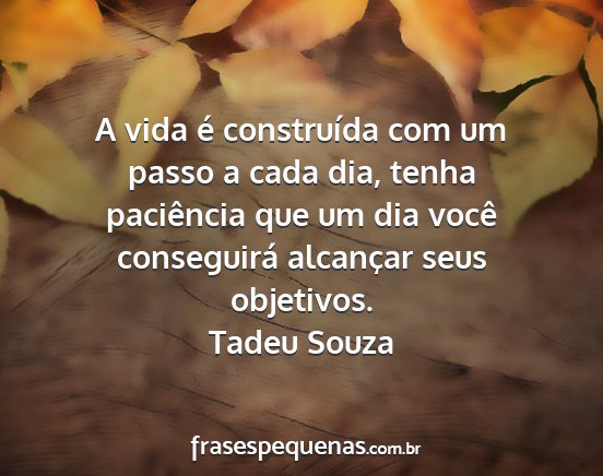 Tadeu Souza - A vida é construída com um passo a cada dia,...