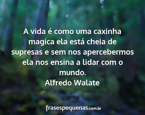 Alfredo Walate - A vida é como uma caxinha magica ela está cheia...
