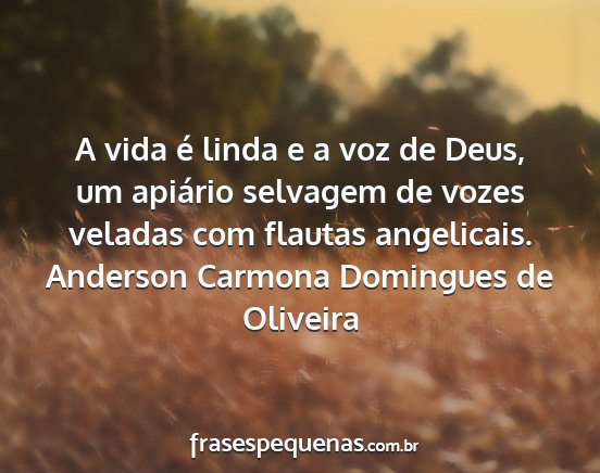 Anderson Carmona Domingues de Oliveira - A vida é linda e a voz de Deus, um apiário...