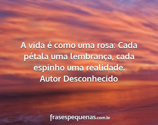 Autor Desconhecido - A vida é como uma rosa: Cada pétala uma...