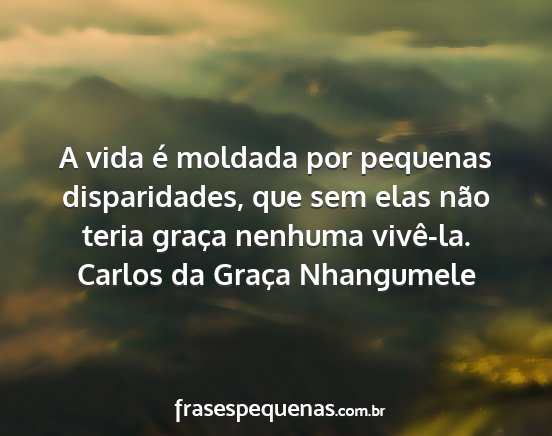 Carlos da Graça Nhangumele - A vida é moldada por pequenas disparidades, que...