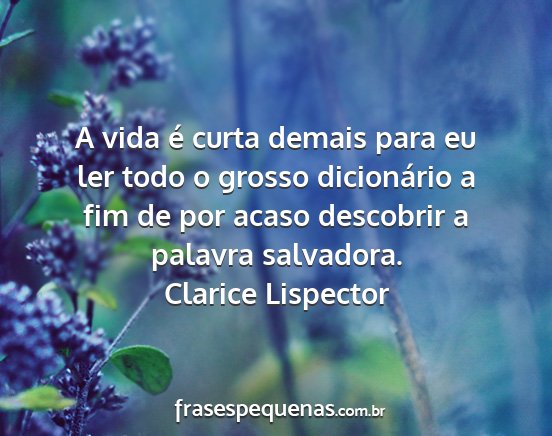 Clarice Lispector - A vida é curta demais para eu ler todo o grosso...