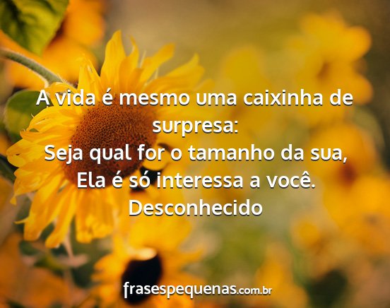 Desconhecido - A vida é mesmo uma caixinha de surpresa: Seja...