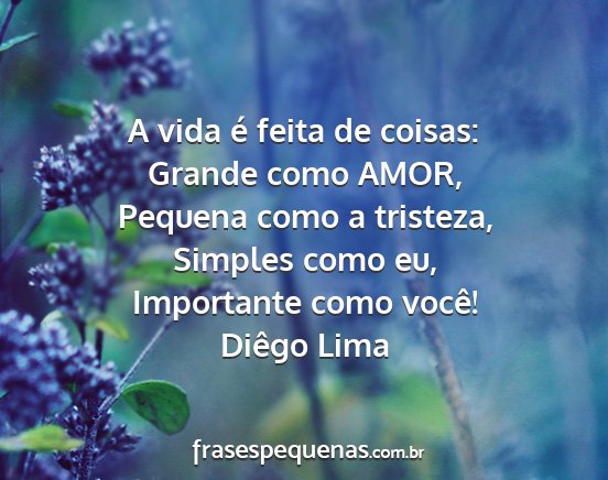 Diêgo Lima - A vida é feita de coisas: Grande como AMOR,...