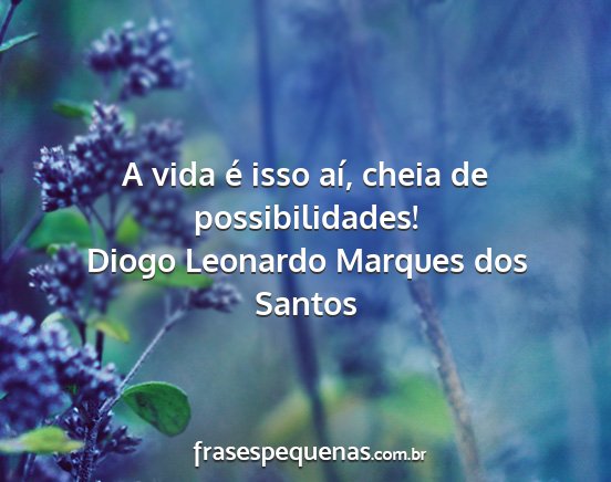 Diogo Leonardo Marques dos Santos - A vida é isso aí, cheia de possibilidades!...