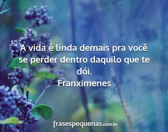 Franximenes - A vida é linda demais pra você se perder dentro...