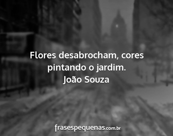 João Souza - Flores desabrocham, cores pintando o jardim....