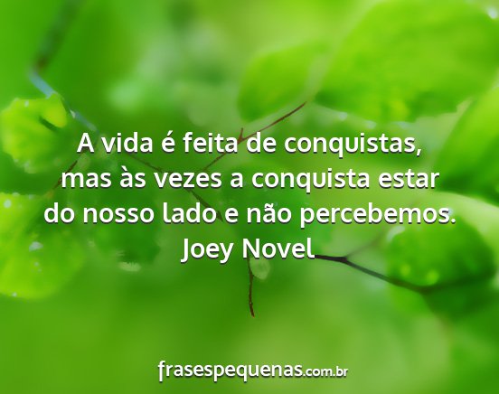 Joey Novel - A vida é feita de conquistas, mas às vezes a...