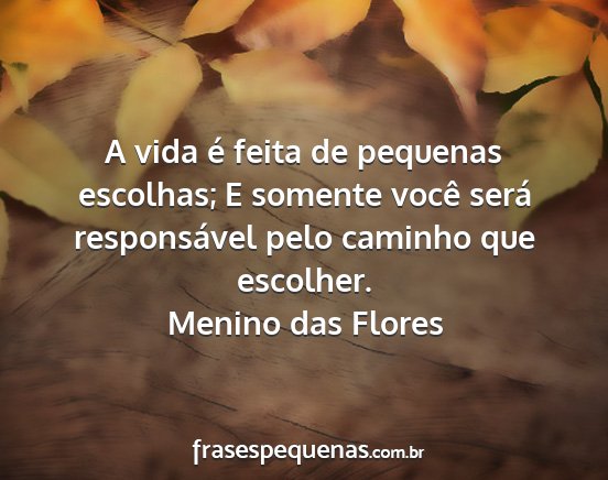 Menino das Flores - A vida é feita de pequenas escolhas; E somente...