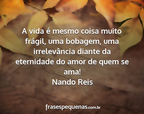 Nando Reis - A vida é mesmo coisa muito frágil, uma bobagem,...