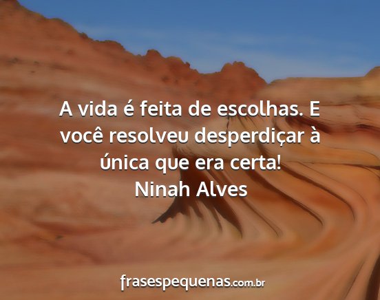 Ninah Alves - A vida é feita de escolhas. E você resolveu...