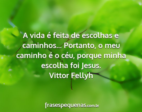 Vittor Fellyh - A vida é feita de escolhas e caminhos......