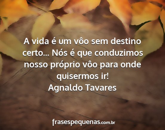 Agnaldo Tavares - A vida é um vôo sem destino certo... Nós é...