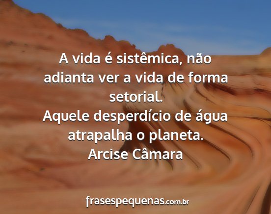 Arcise Câmara - A vida é sistêmica, não adianta ver a vida de...