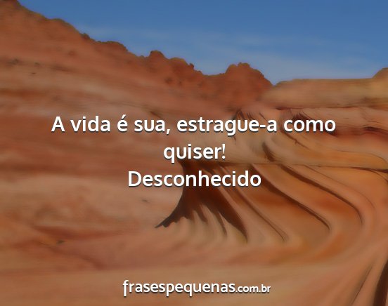 Desconhecido - A vida é sua, estrague-a como quiser!...