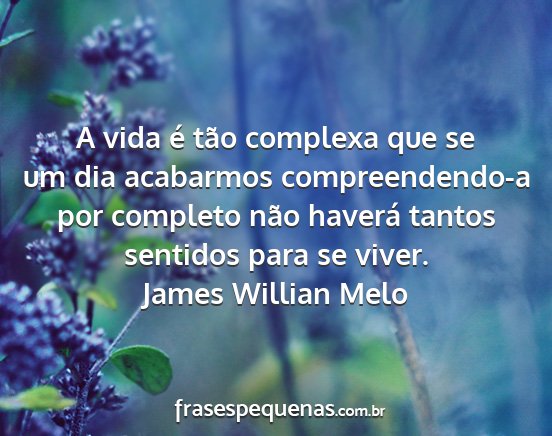 James Willian Melo - A vida é tão complexa que se um dia acabarmos...