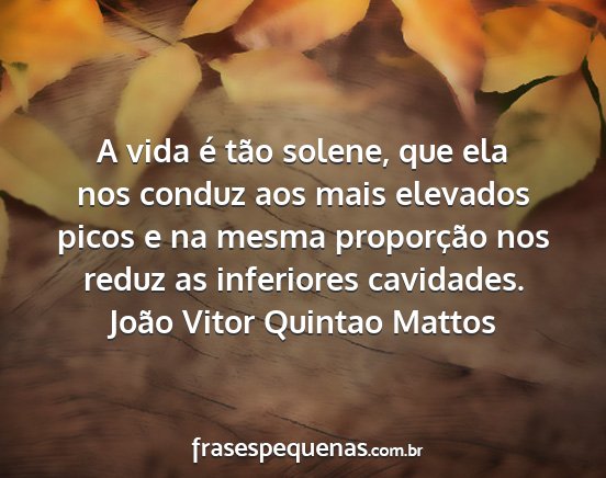 João Vitor Quintao Mattos - A vida é tão solene, que ela nos conduz aos...