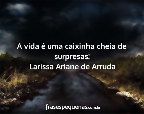 Larissa Ariane de Arruda - A vida é uma caixinha cheia de surpresas!...