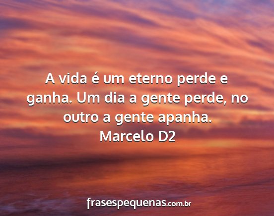 Marcelo D2 - A vida é um eterno perde e ganha. Um dia a gente...