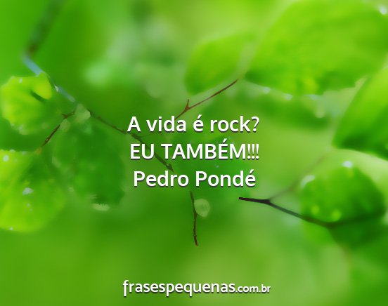 Pedro Pondé - A vida é rock? EU TAMBÉM!!!...