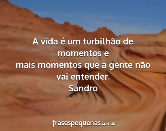 Sandro - A vida é um turbilhão de momentos e mais...