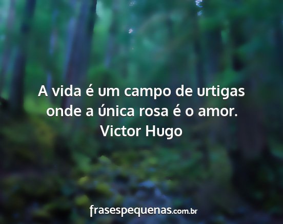 Victor Hugo - A vida é um campo de urtigas onde a única rosa...