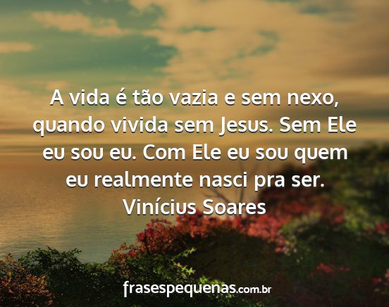 Vinícius Soares - A vida é tão vazia e sem nexo, quando vivida...