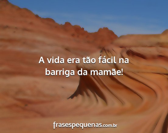 A vida era tão fácil na barriga da mamãe!...